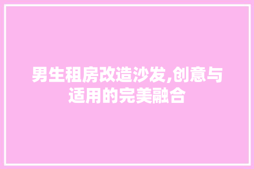 男生租房改造沙发,创意与适用的完美融合