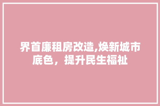 界首廉租房改造,焕新城市底色，提升民生福祉 墙面装饰