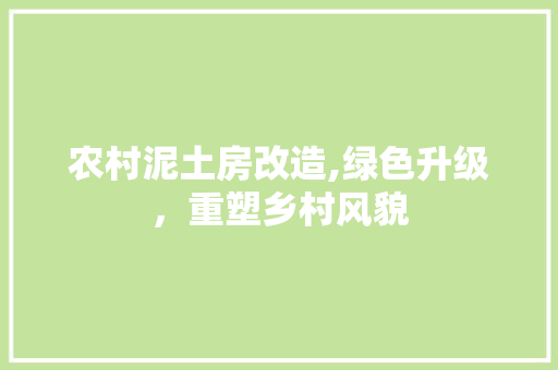 农村泥土房改造,绿色升级，重塑乡村风貌 墙面装饰