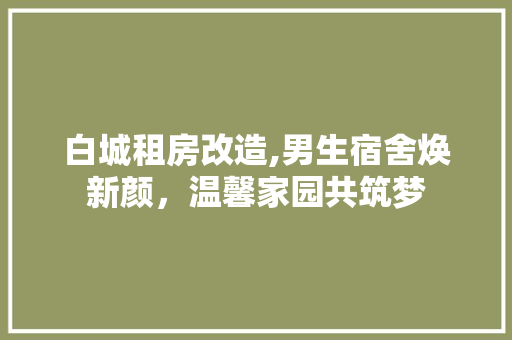 白城租房改造,男生宿舍焕新颜，温馨家园共筑梦