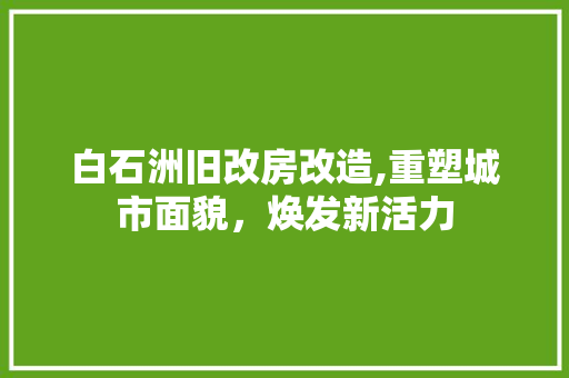 白石洲旧改房改造,重塑城市面貌，焕发新活力