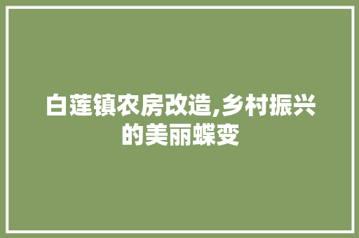 白莲镇农房改造,乡村振兴的美丽蝶变 隔断设计