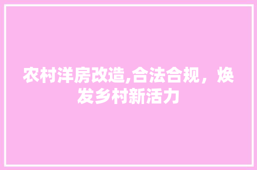 农村洋房改造,合法合规，焕发乡村新活力