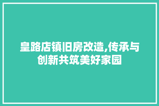 皇路店镇旧房改造,传承与创新共筑美好家园 装修材料