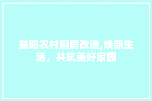 益阳农村厨房改造,焕新生活，共筑美好家园