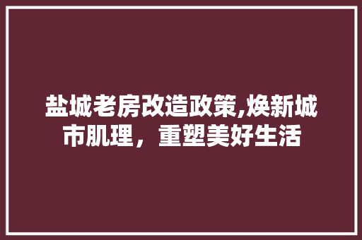 盐城老房改造政策,焕新城市肌理，重塑美好生活