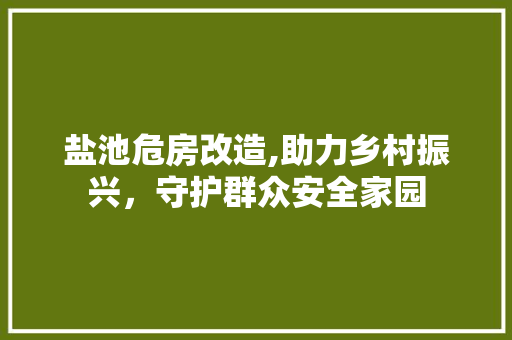 盐池危房改造,助力乡村振兴，守护群众安全家园