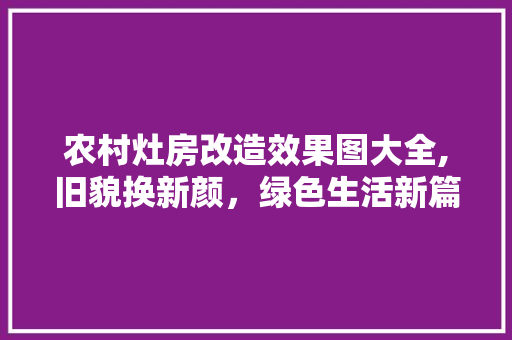 农村灶房改造效果图大全,旧貌换新颜，绿色生活新篇章