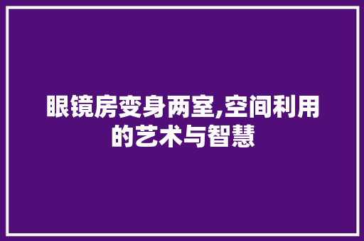 眼镜房变身两室,空间利用的艺术与智慧