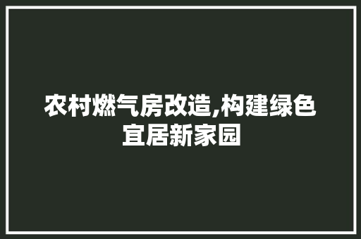 农村燃气房改造,构建绿色宜居新家园