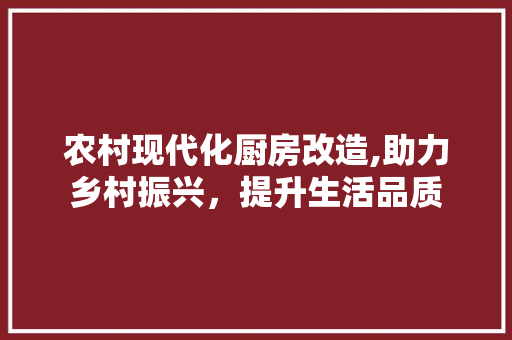 农村现代化厨房改造,助力乡村振兴，提升生活品质