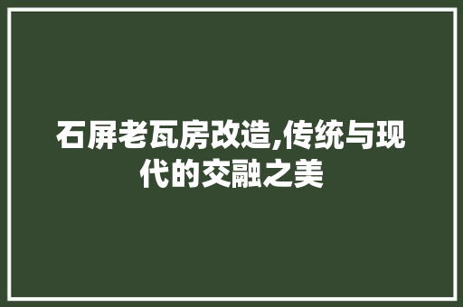 石屏老瓦房改造,传统与现代的交融之美
