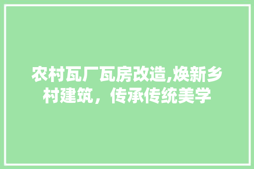 农村瓦厂瓦房改造,焕新乡村建筑，传承传统美学 装修材料