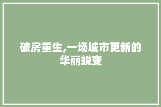 破房重生,一场城市更新的华丽蜕变