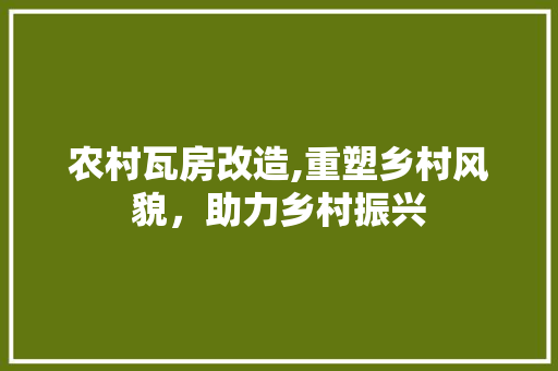 农村瓦房改造,重塑乡村风貌，助力乡村振兴