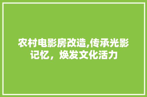 农村电影房改造,传承光影记忆，焕发文化活力