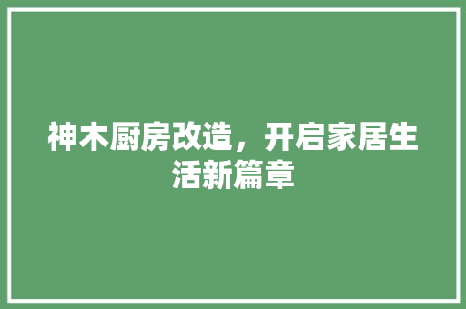 神木厨房改造，开启家居生活新篇章