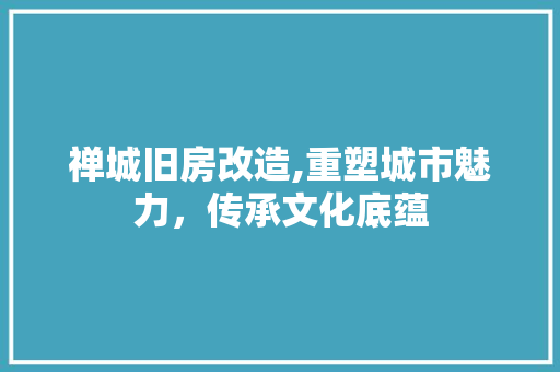 禅城旧房改造,重塑城市魅力，传承文化底蕴 景观设计