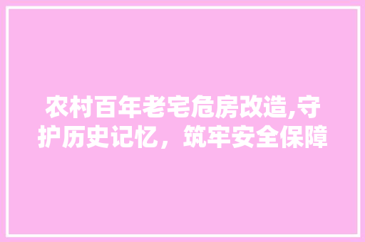 农村百年老宅危房改造,守护历史记忆，筑牢安全保障