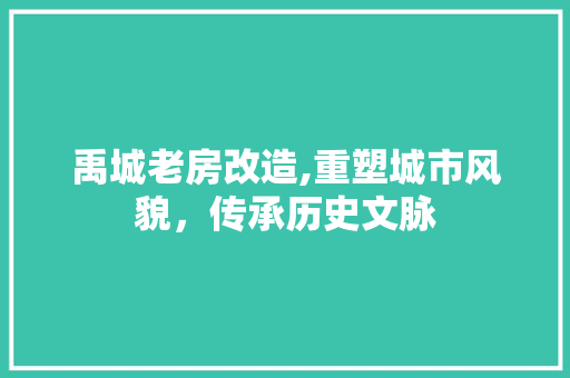 禹城老房改造,重塑城市风貌，传承历史文脉