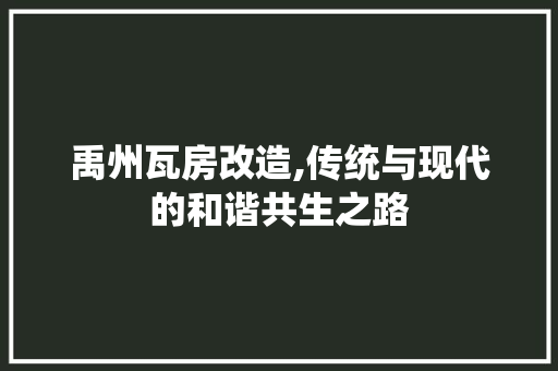 禹州瓦房改造,传统与现代的和谐共生之路 隔断设计