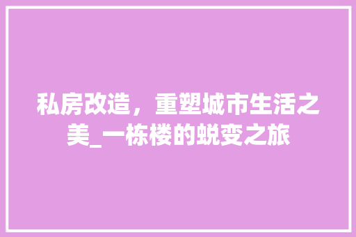 私房改造，重塑城市生活之美_一栋楼的蜕变之旅