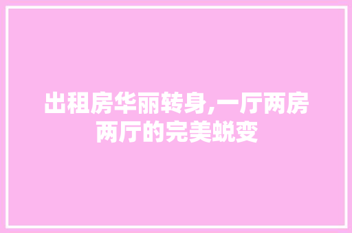 出租房华丽转身,一厅两房两厅的完美蜕变 装修材料