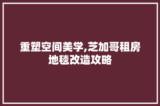 重塑空间美学,芝加哥租房地毯改造攻略 隔断设计