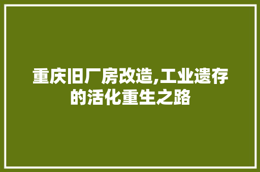 重庆旧厂房改造,工业遗存的活化重生之路