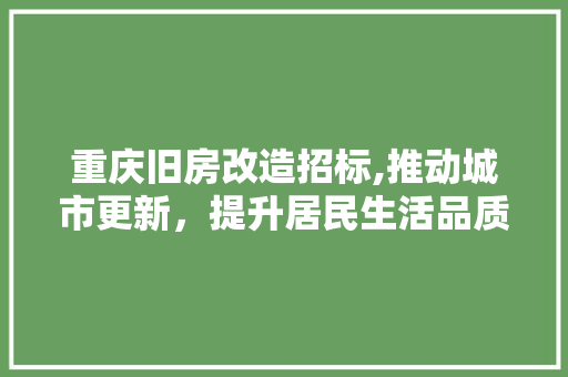 重庆旧房改造招标,推动城市更新，提升居民生活品质 景观设计