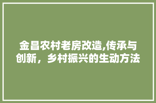 金昌农村老房改造,传承与创新，乡村振兴的生动方法 建筑设计