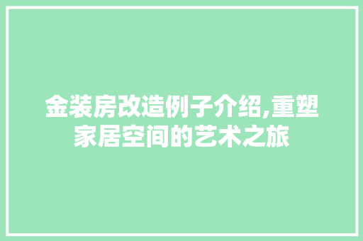 金装房改造例子介绍,重塑家居空间的艺术之旅