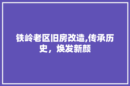 铁岭老区旧房改造,传承历史，焕发新颜 门窗装修