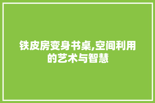 铁皮房变身书桌,空间利用的艺术与智慧 地面装修