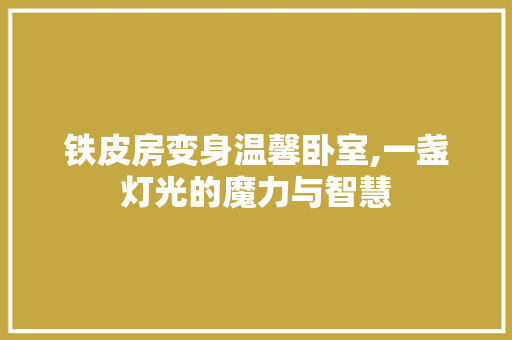 铁皮房变身温馨卧室,一盏灯光的魔力与智慧 装修材料