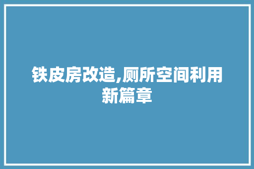 铁皮房改造,厕所空间利用新篇章 建筑设计