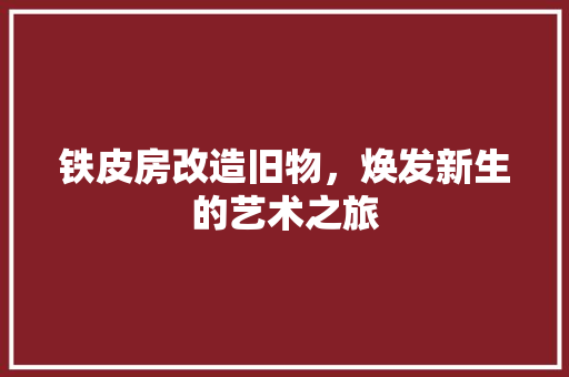 铁皮房改造旧物，焕发新生的艺术之旅
