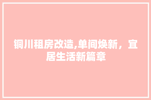 铜川租房改造,单间焕新，宜居生活新篇章 地面装修