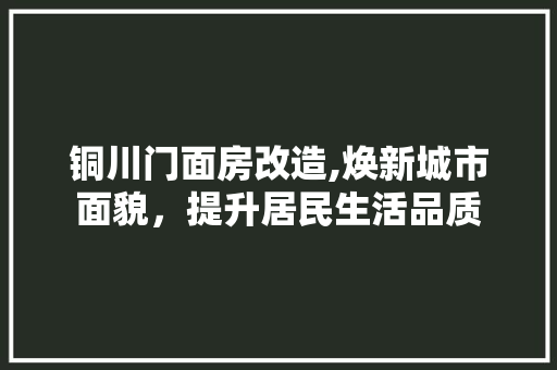 铜川门面房改造,焕新城市面貌，提升居民生活品质 门窗装修