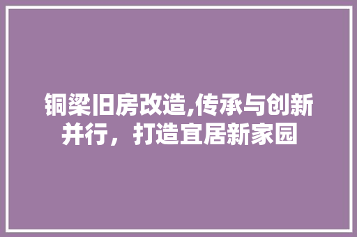 铜梁旧房改造,传承与创新并行，打造宜居新家园 装修材料