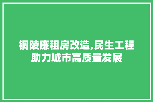 铜陵廉租房改造,民生工程助力城市高质量发展