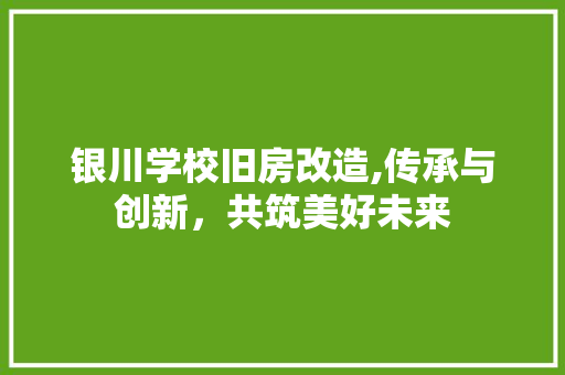 银川学校旧房改造,传承与创新，共筑美好未来