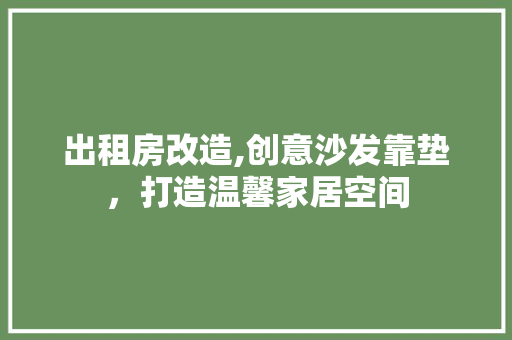 出租房改造,创意沙发靠垫，打造温馨家居空间