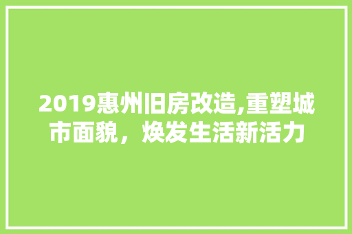 2019惠州旧房改造,重塑城市面貌，焕发生活新活力