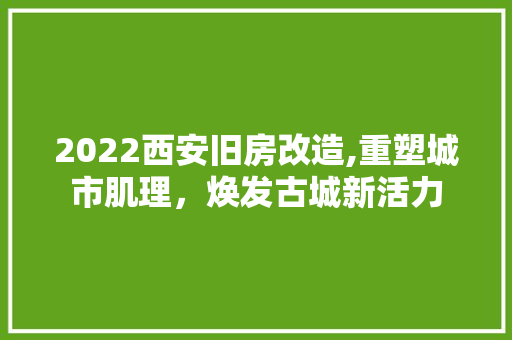 2022西安旧房改造,重塑城市肌理，焕发古城新活力 庭院装修