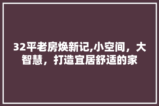 32平老房焕新记,小空间，大智慧，打造宜居舒适的家