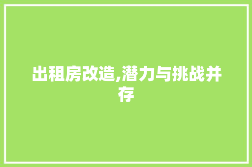 出租房改造,潜力与挑战并存