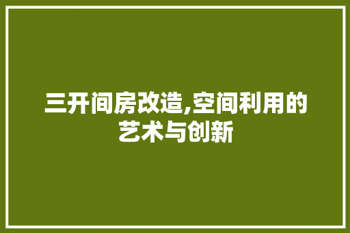 三开间房改造,空间利用的艺术与创新