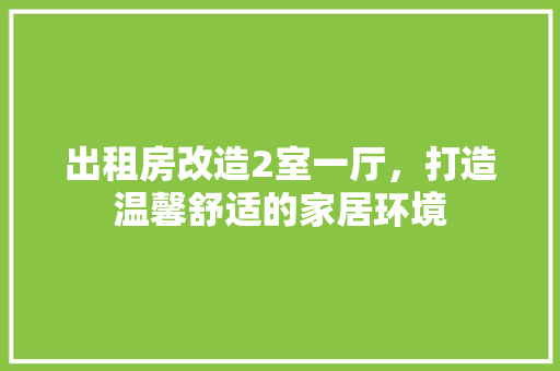出租房改造2室一厅，打造温馨舒适的家居环境