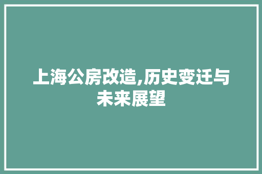 上海公房改造,历史变迁与未来展望